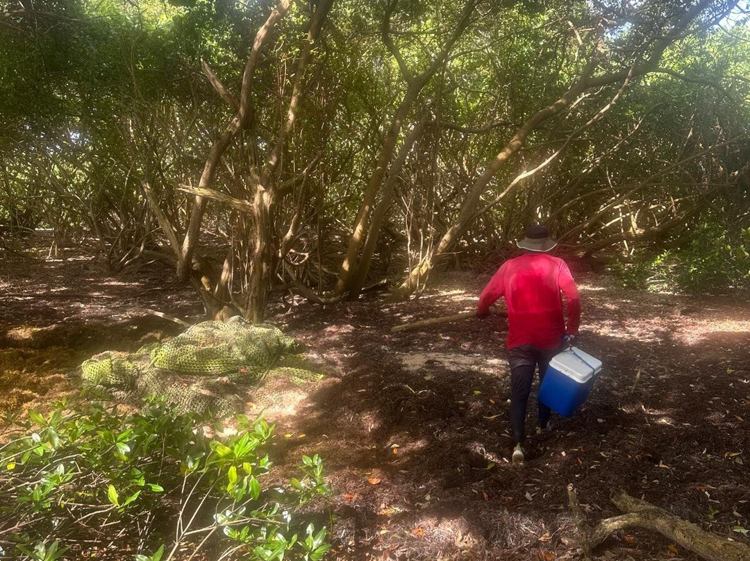 Kayak Evasion Martinique-Le Vauclin必去景点