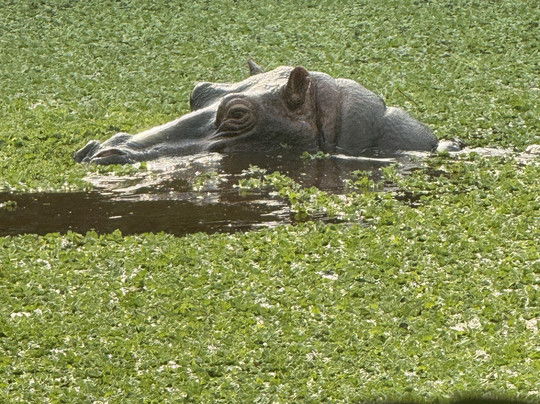 Orango National Park-Bissau必去景点