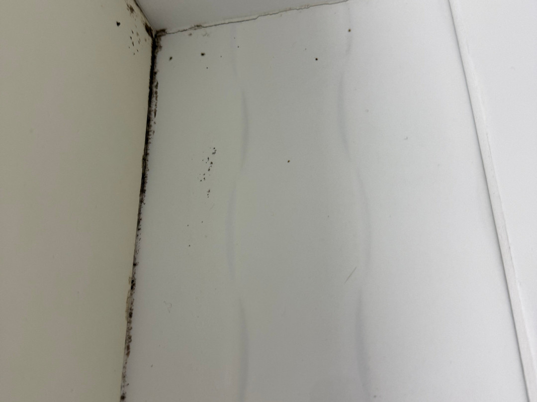 帆板度假村主图