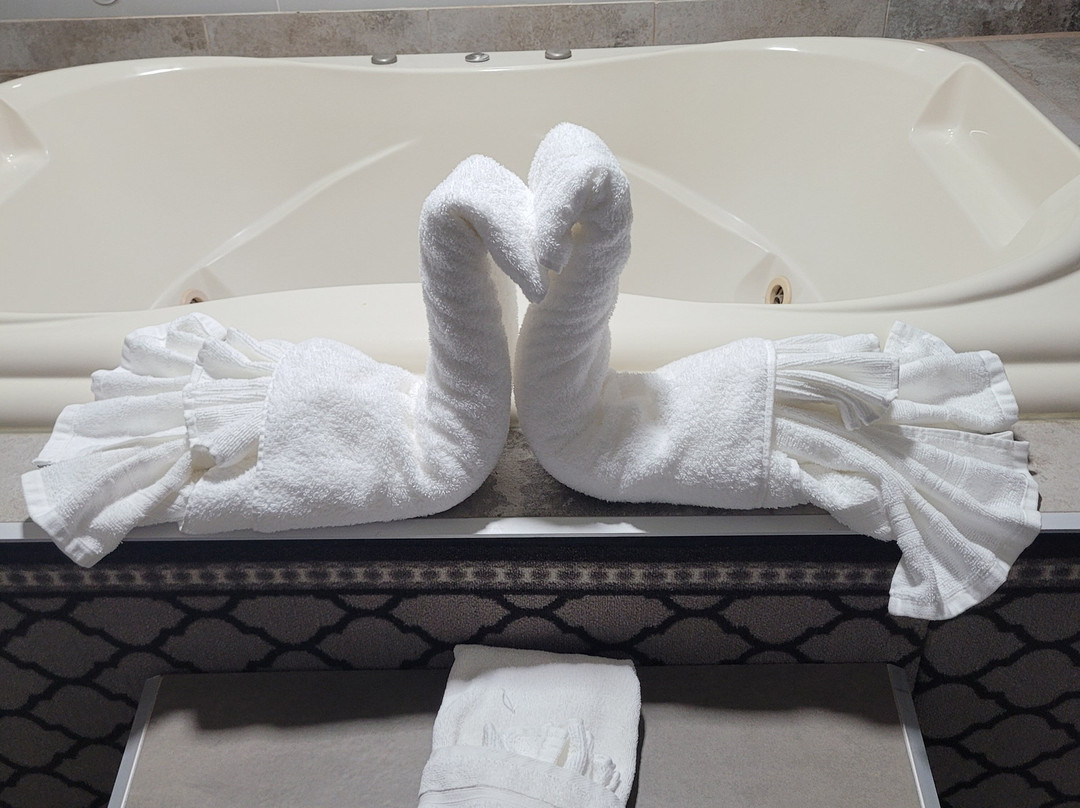 Super 8 by Wyndham Belleville IL/St. Louis Area主图