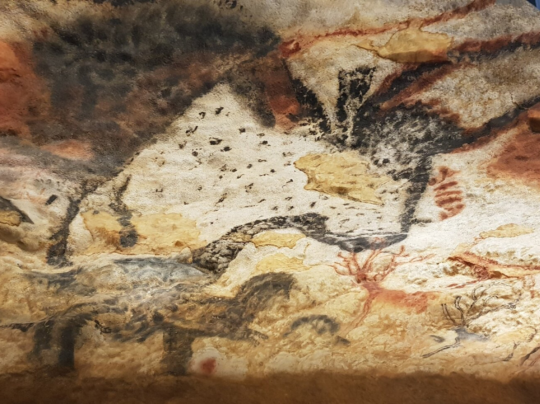 Lascaux IV景点图片