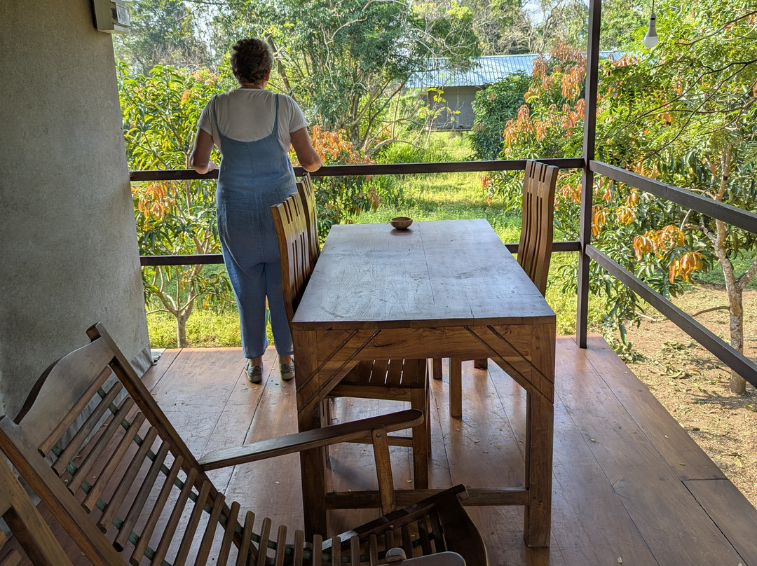 LLT tourist inn & safari jeeps主图