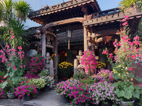 Hoi An Shuttle Bus-会安必去景点
