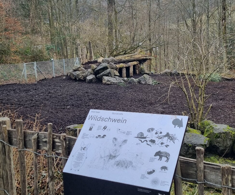 Wildnispark Zurich Langenberg-Langnau am Albis必去景点