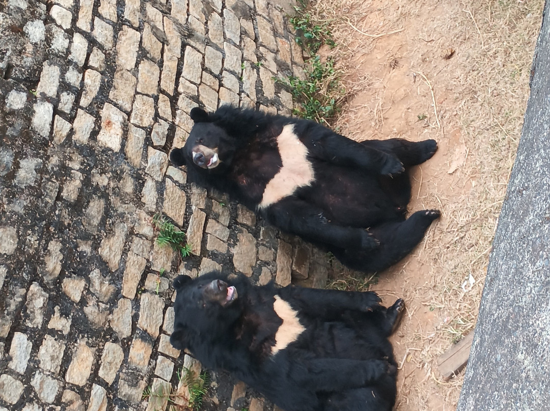 Birsa Zoological Park景点图片