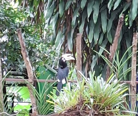 Paddle and More Travel-北碧必去景点