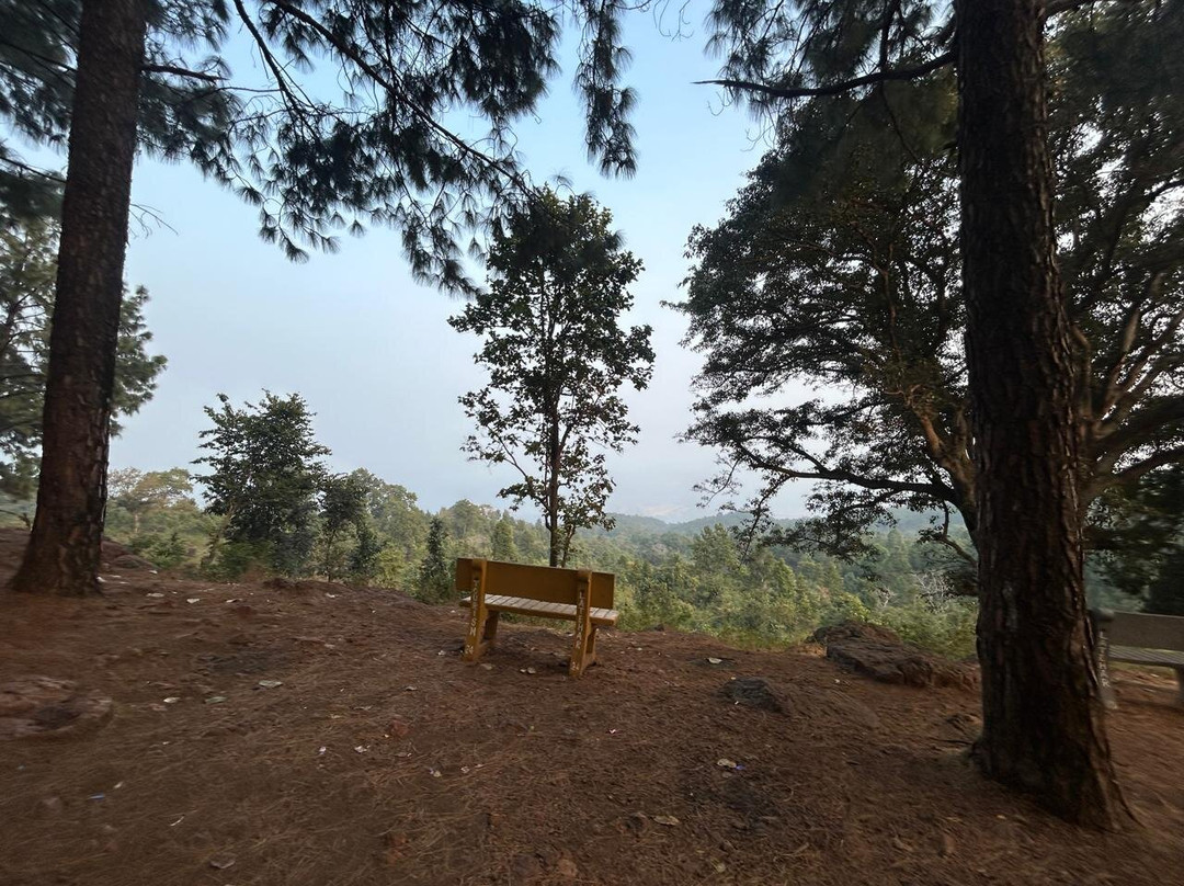 Koel View Point景点图片