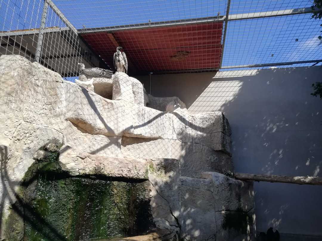 Birdpark Malta景点图片