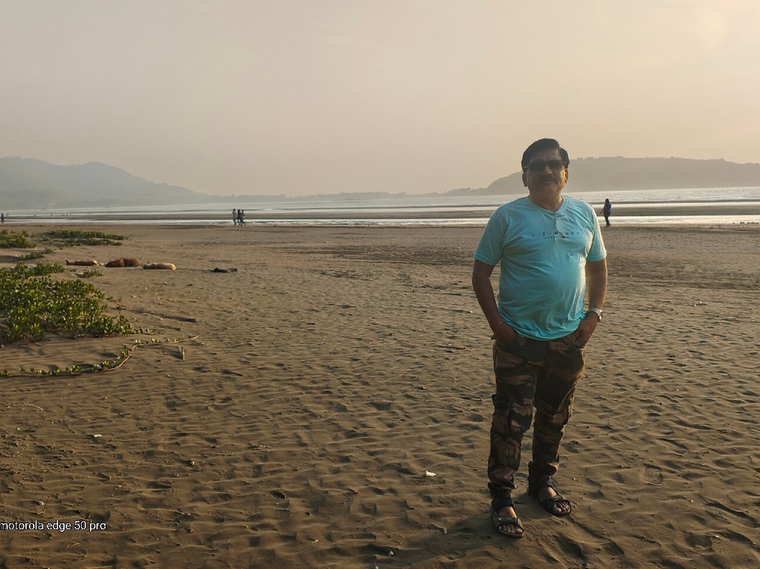 Revdanda Beach Fort景点图片