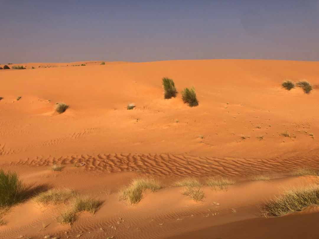 Atar Voyages-Atar必去景点