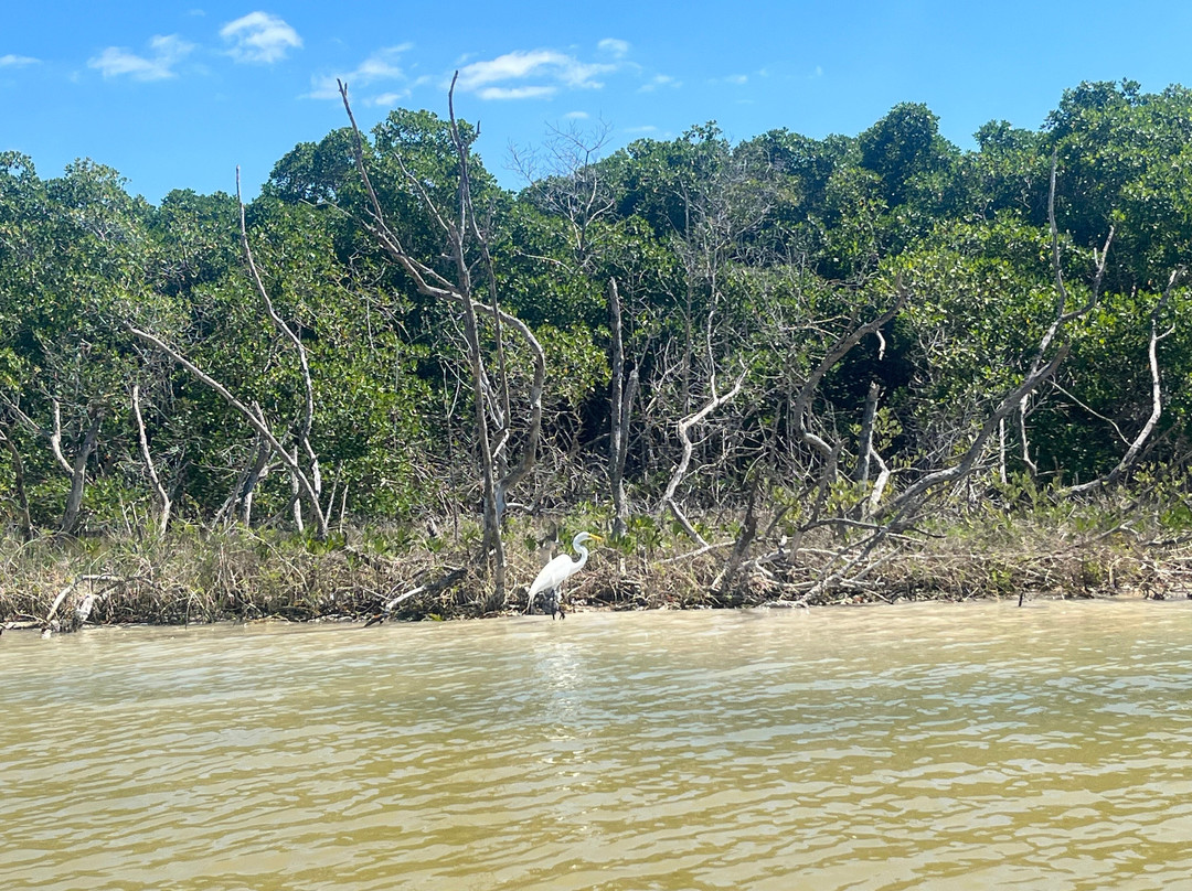 Parque Natural Ria Lagartos景点图片