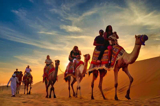 Premium Desert Safari with To The Luxury Camp
