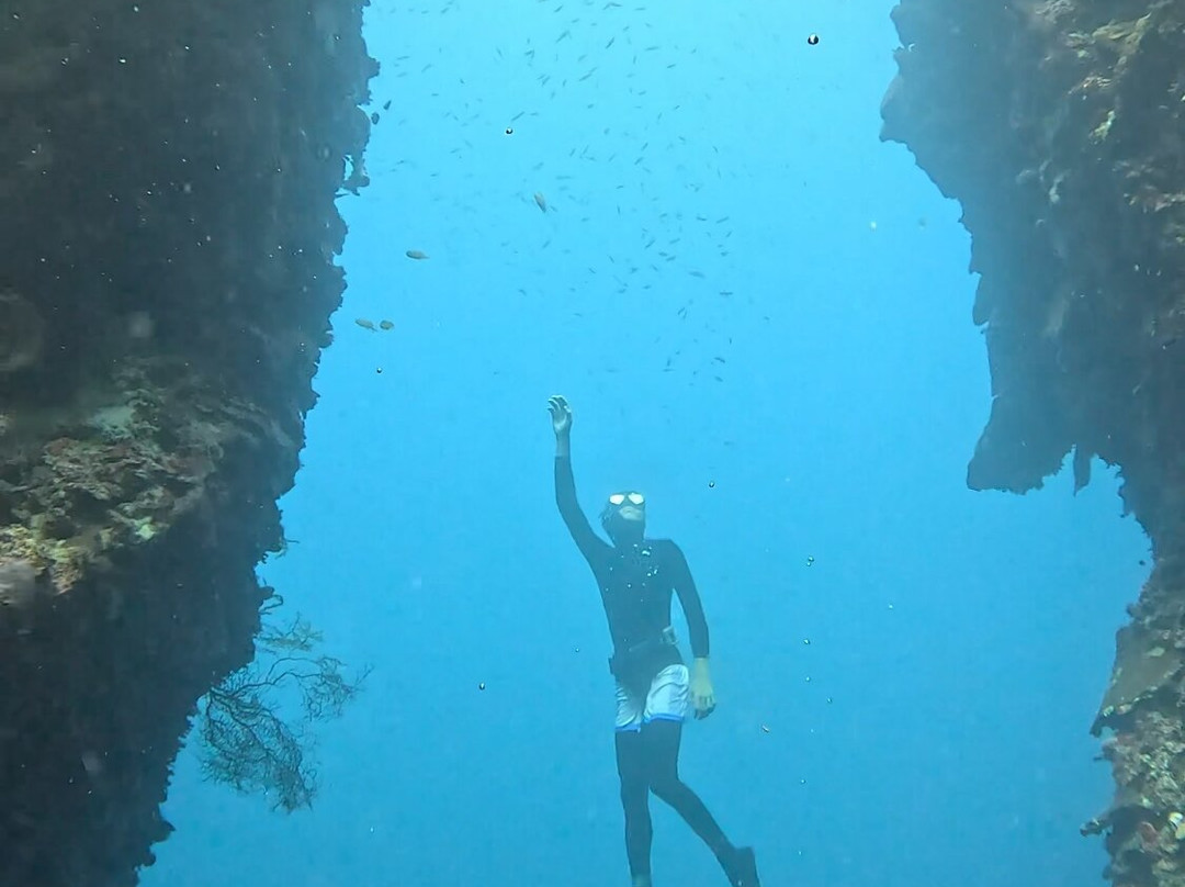Green Dive-塔拉瓦环礁必去景点