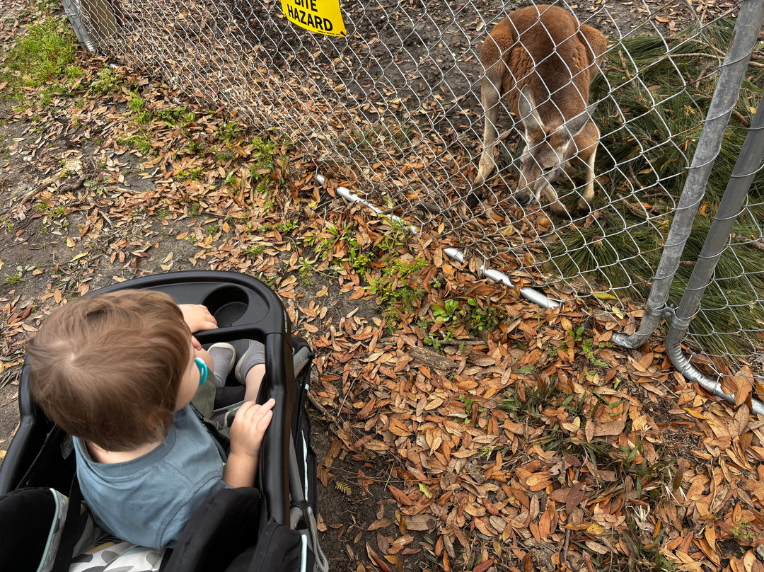 North Florida Wildlife Center景点图片