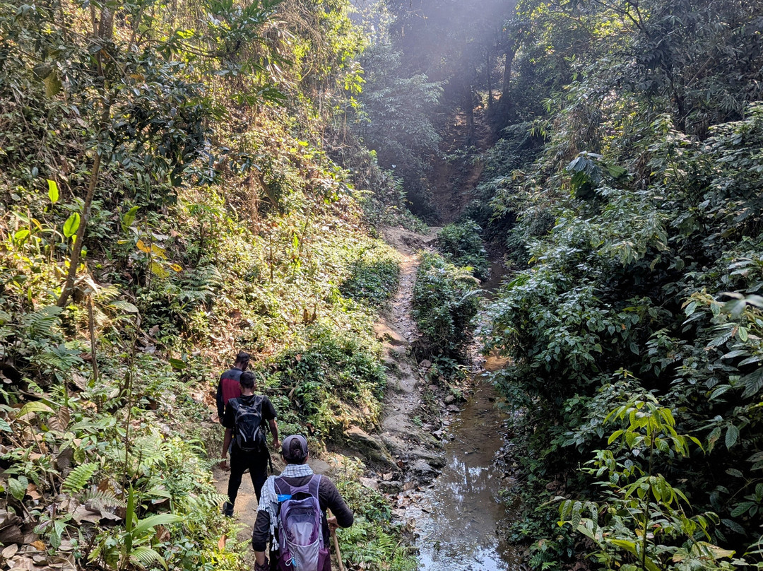 Green Leaf Eco Tourism景点图片