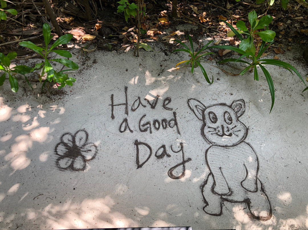 Grand Park Kodhipparu, Maldives主图