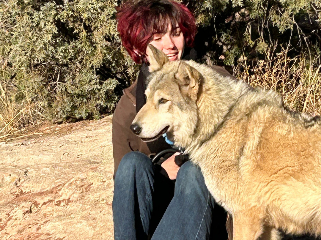 Colorado Wolf Adventures景点图片