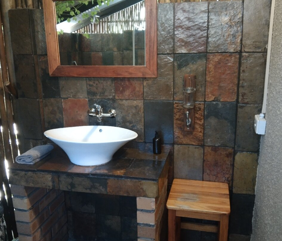 A Traveller's Palm主图