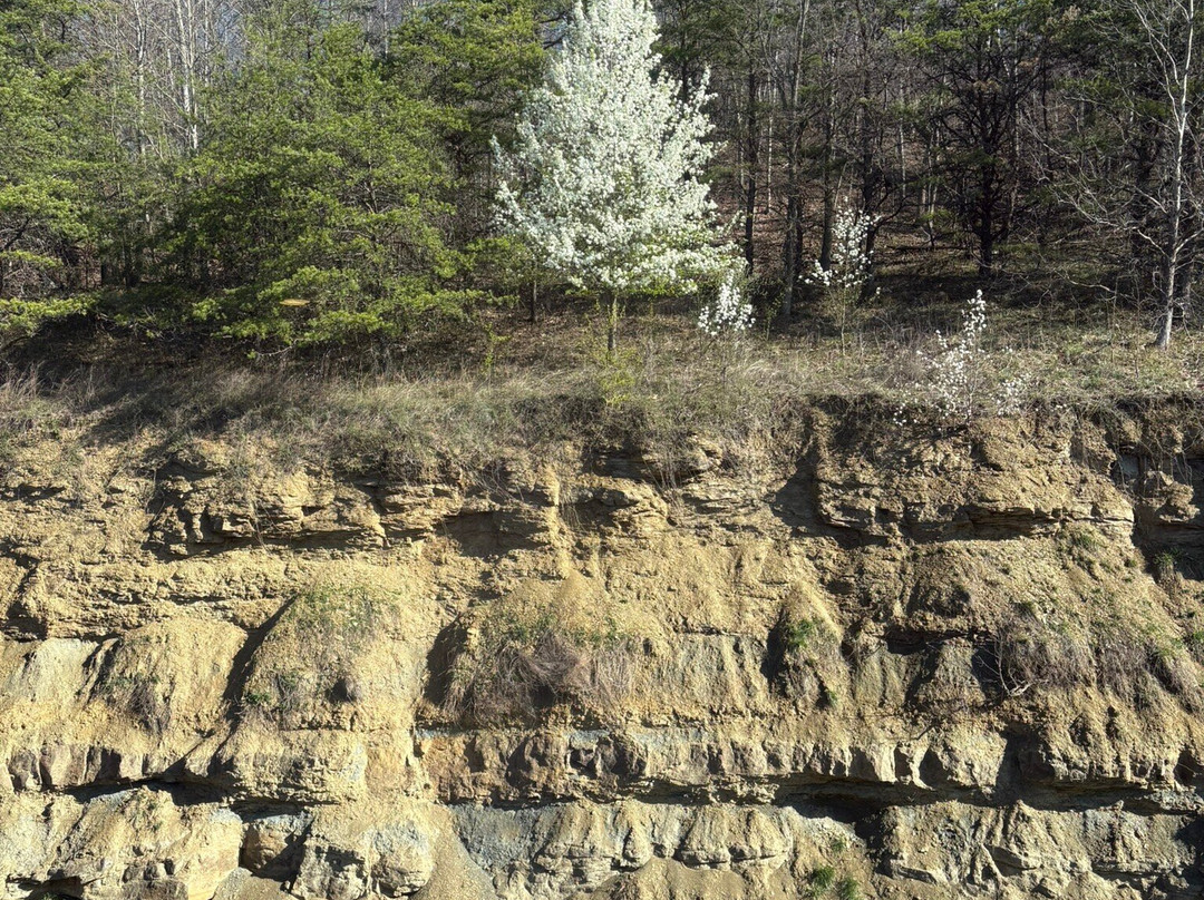 MainStay Suites Winfield-Teays Valley主图