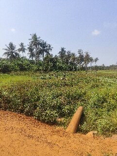 Sierra Leone Adventure Cycling Tours-Lunsar必去景点