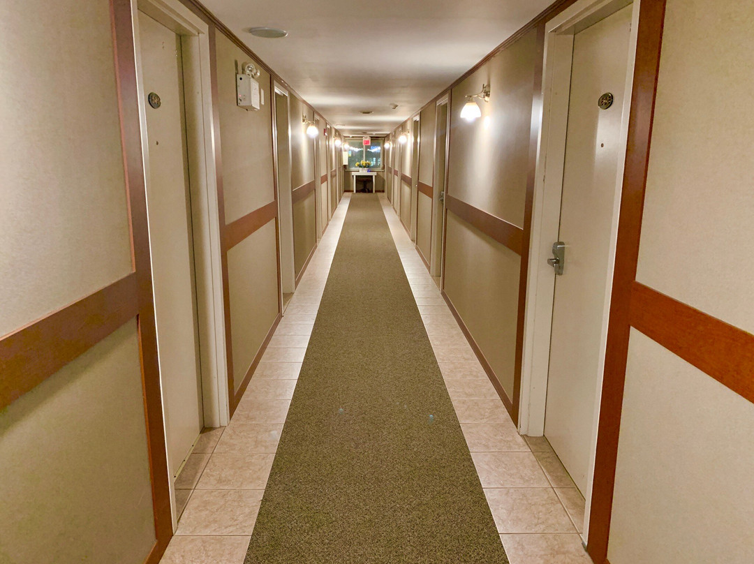 Queen Bee Hotel主图