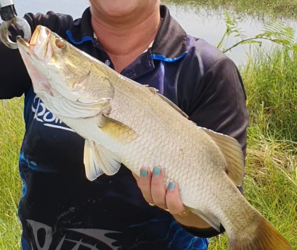 HeliFish-达尔文市必去景点