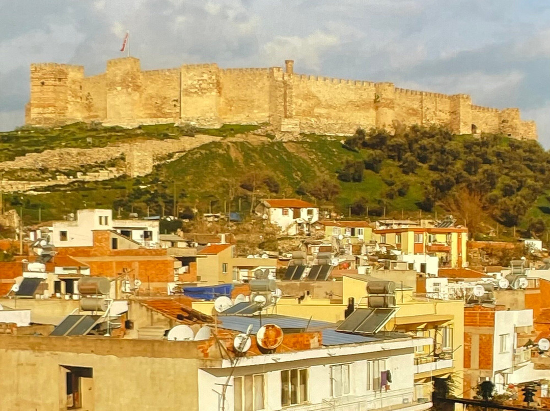 Ayasoluk Castle景点图片