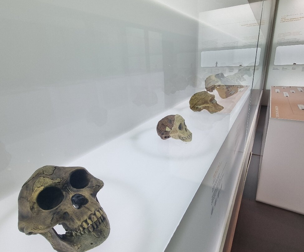 Naturhistorisches Museum Basel-巴塞尔必去景点