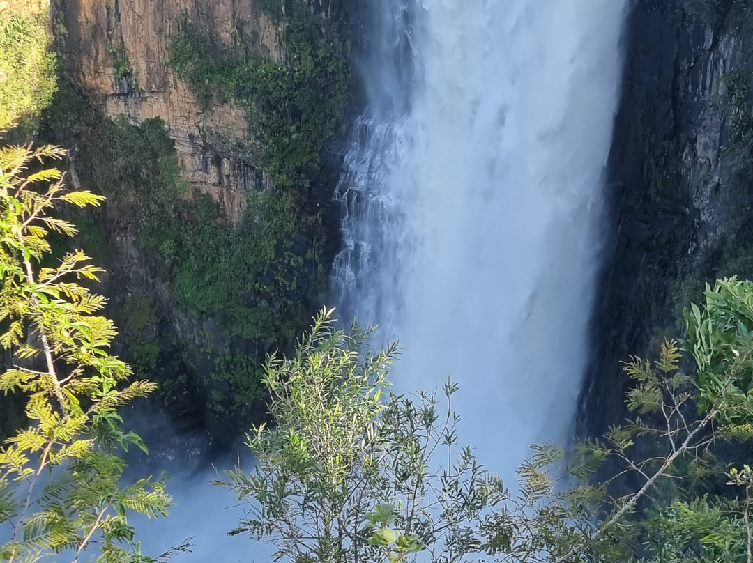 Howick Falls-豪威克必去景点