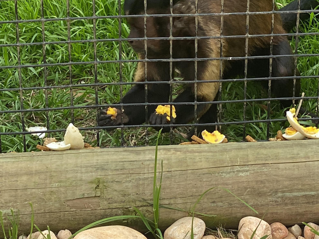 Alabama Safari Park景点图片