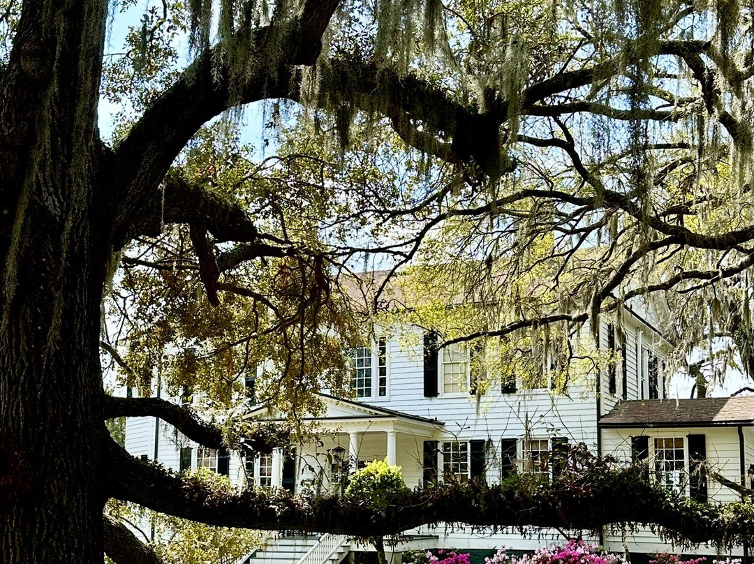 The Point-博福特必去景点