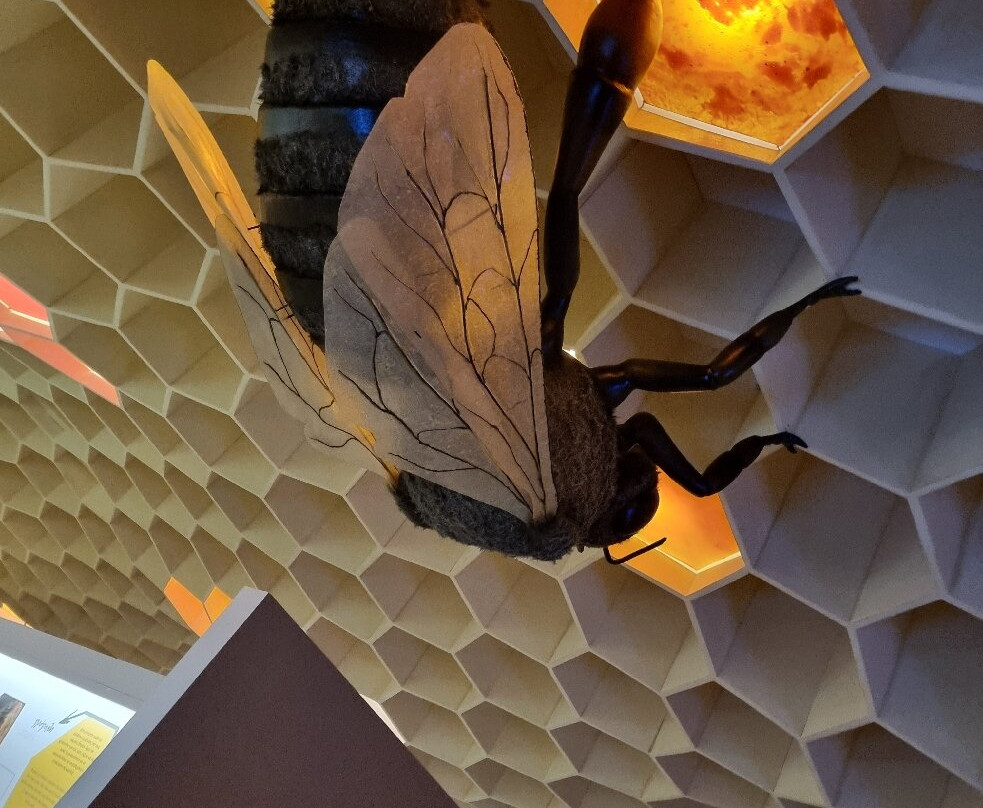 Bee Museum-Pastida必去景点