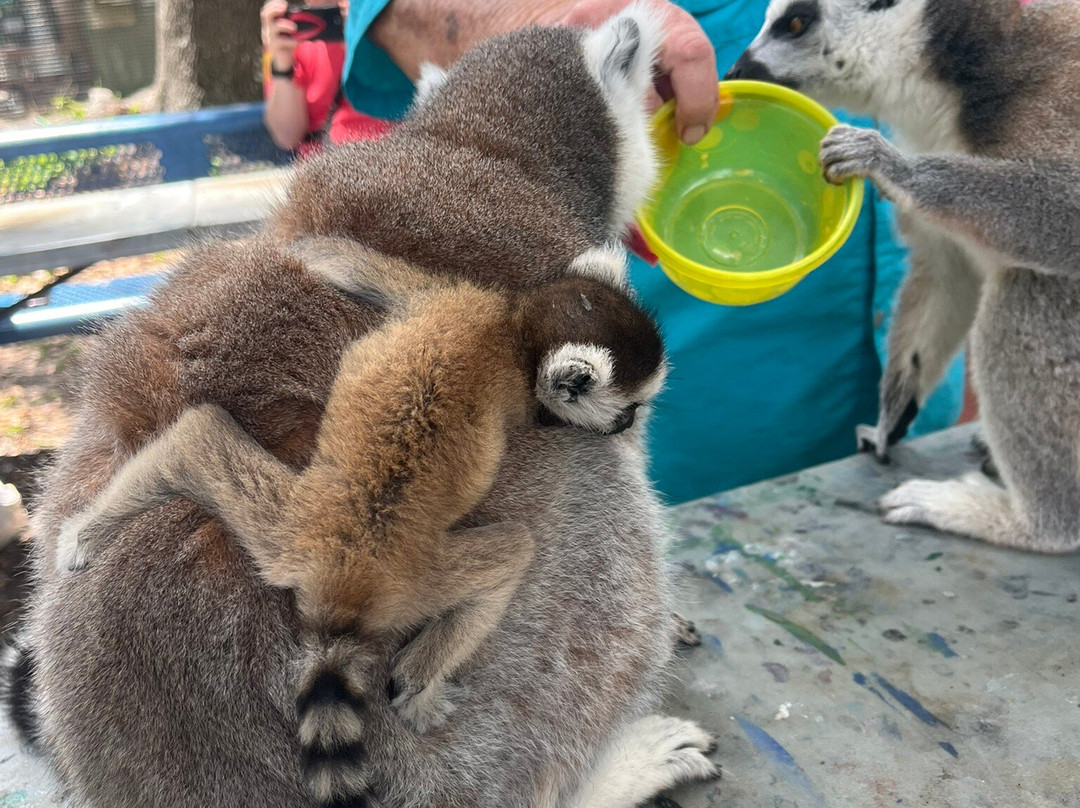 Chase Animal Rescue And Sanctuary-Webster必去景点