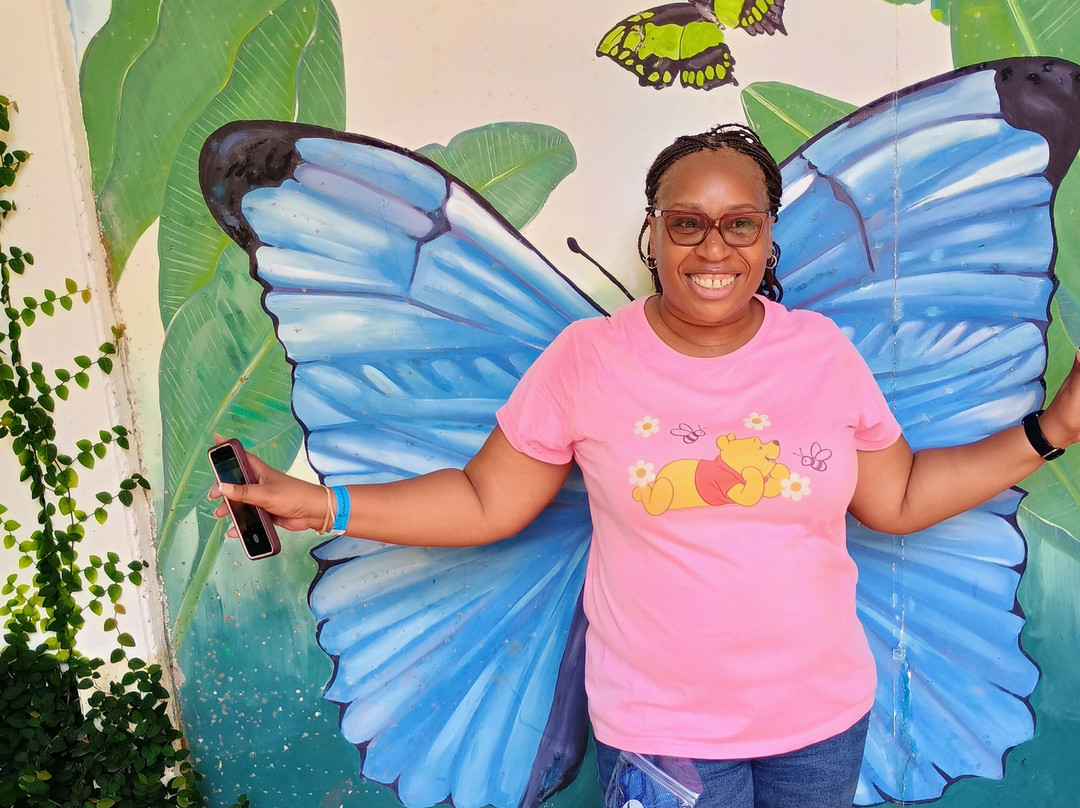 Royal Butterflies-哈科必去景点