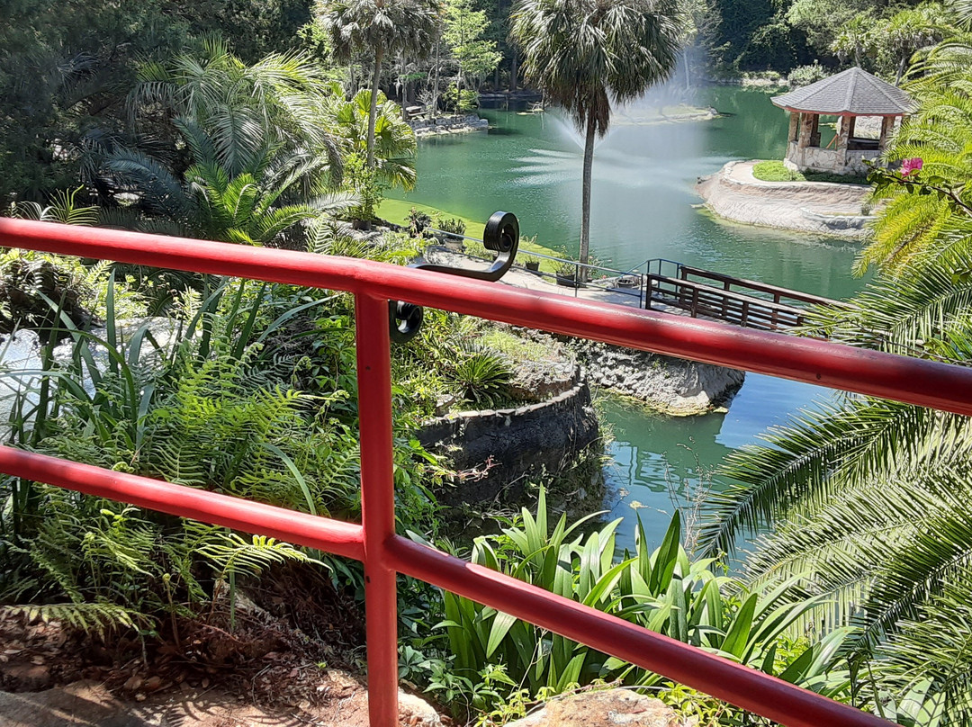 Cedar Lakes Woods & Gardens景点图片