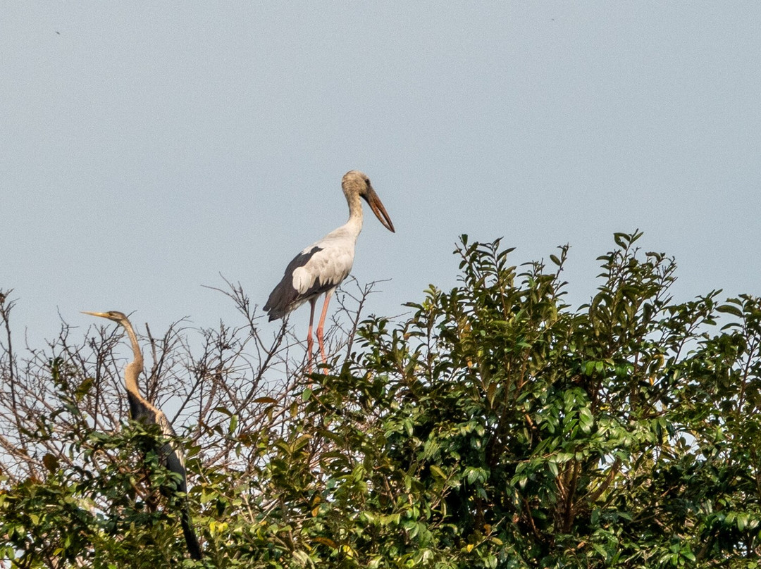 Prek Toal Tours & Travel-暹粒必去景点