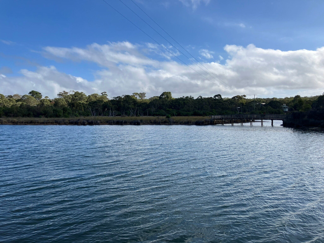 Anglesea Riverbank