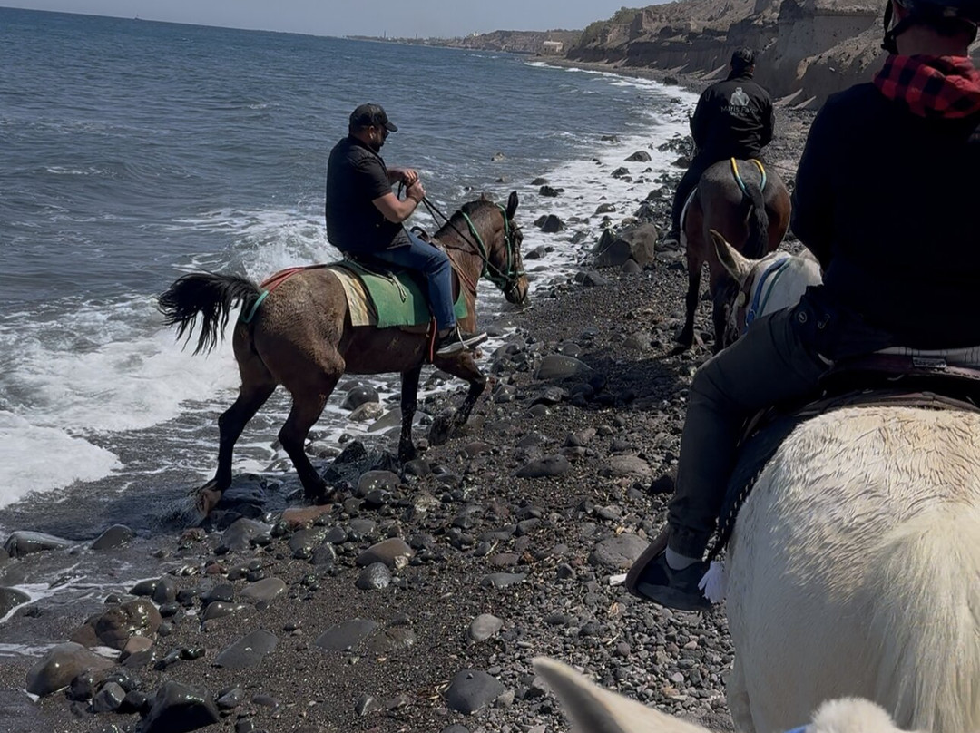 Maris Horseriding Santorini-费拉必去景点