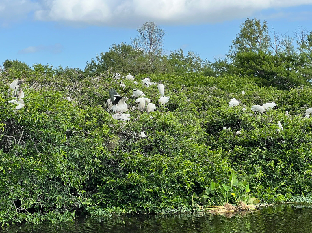 Wakodahatchee Wetlands-德拉海滩必去景点