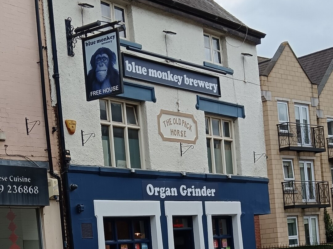 The Organ Grinder景点图片