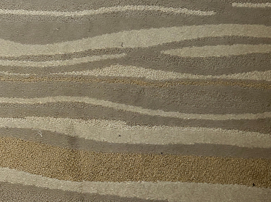 Staybridge Suites Summerville - Charleston Area by IHG主图