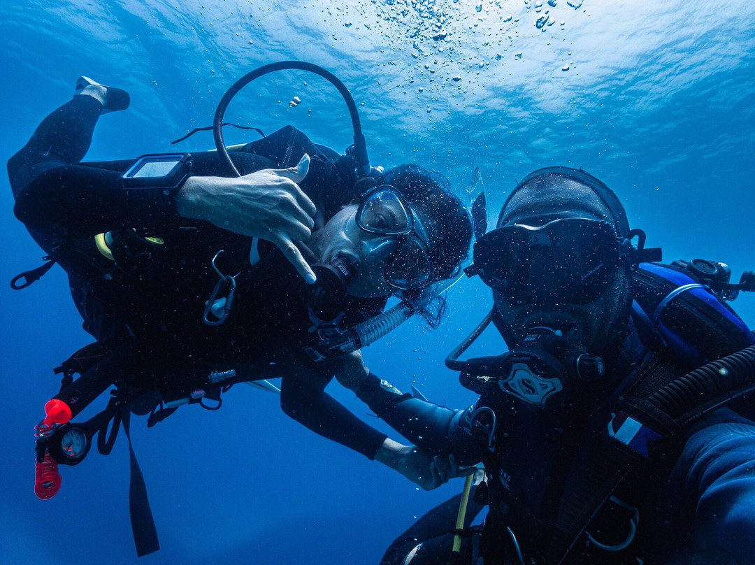Bigorno Diving Center Mauritius-卓欧毕雪必去景点
