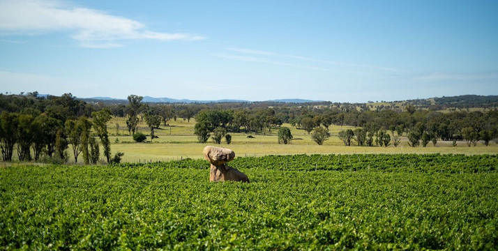 Balancing Heart Vineyard-Wyberba必去景点