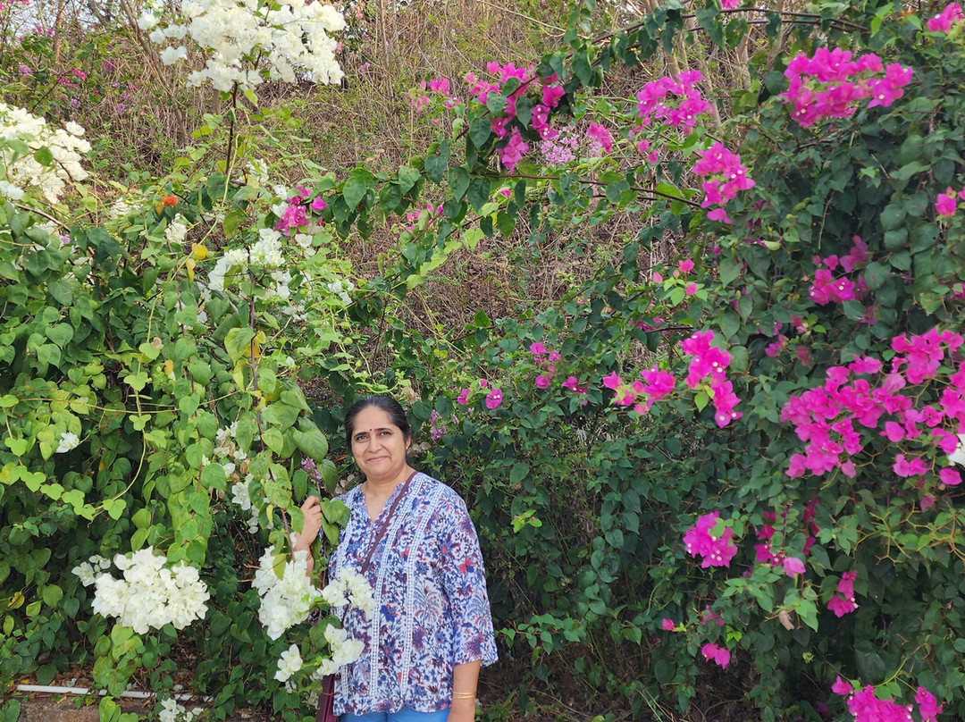 Pema Wellness Retreat主图