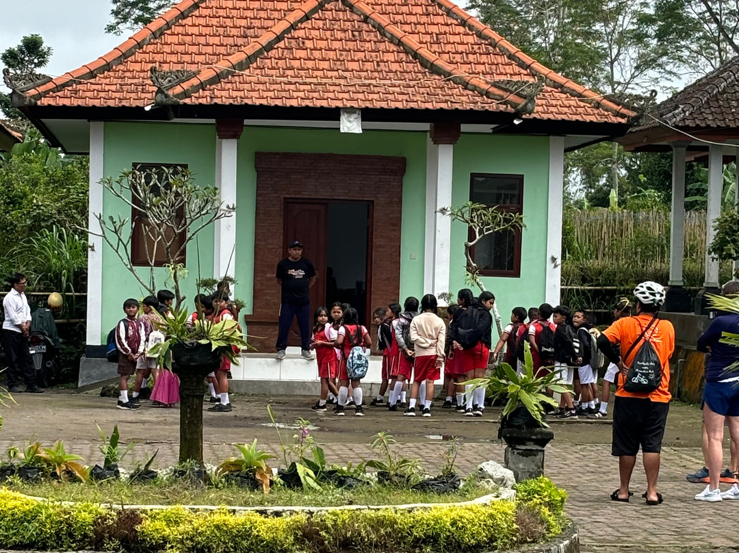 Bali Fun Bike Adventure景点图片