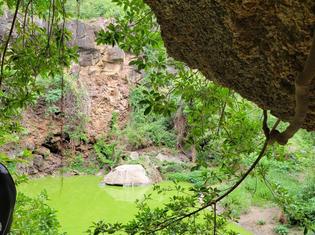 Bazaltik Réunion, Tunnels de lave景点图片