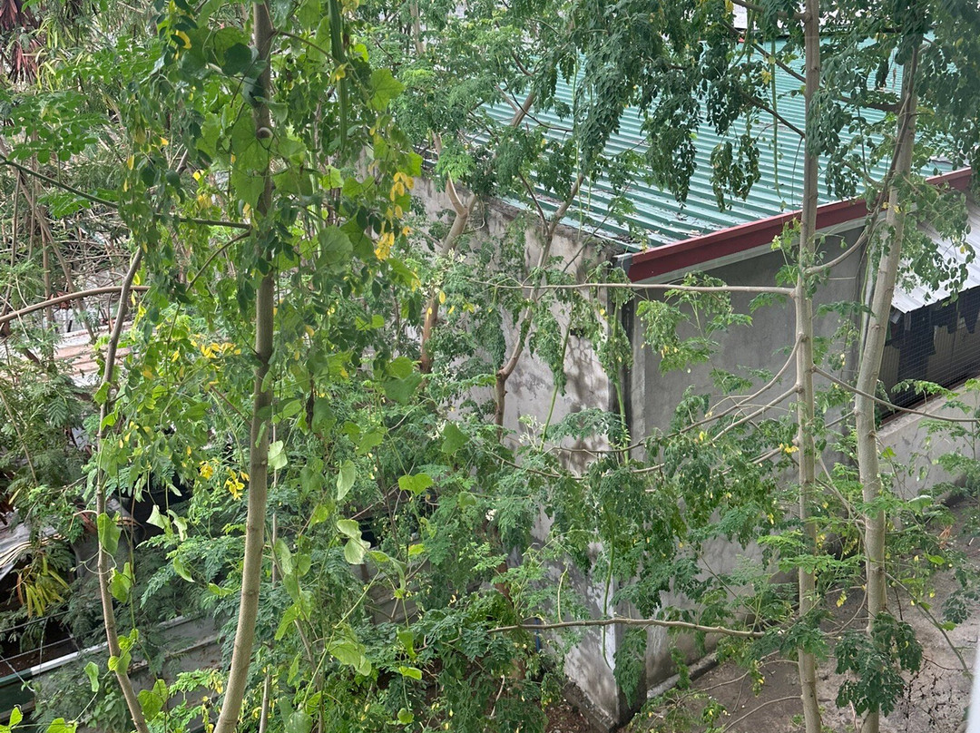 Marand Beach Resort主图