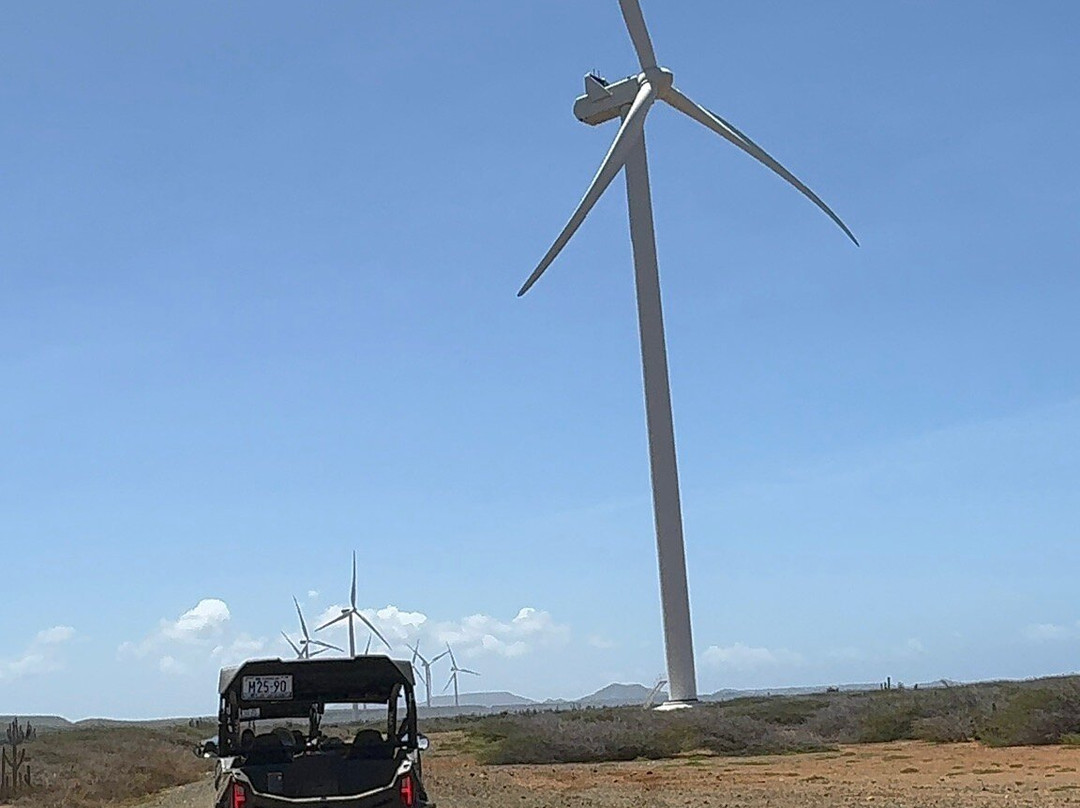 Rumba Tours Curaçao-威廉斯塔德必去景点