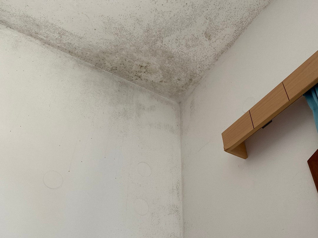 Odyssia Apartments主图