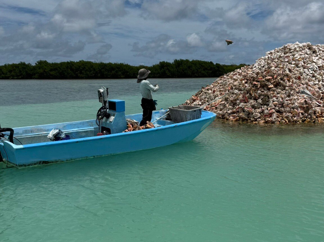 Tommy Gaunt Kitesurfing-Anegada必去景点